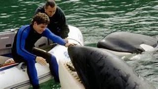 Free Willy 3 The Rescue 1997 Movie trailer