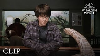 Harry and the Snake  Harry Potter and the Philosophers Stone