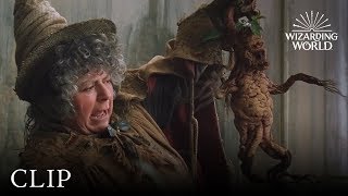 Mandrake Potting  Harry Potter and the Chamber of Secrets