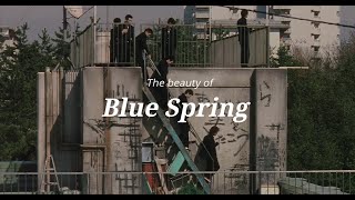 The Beauty of Blue Spring 2001