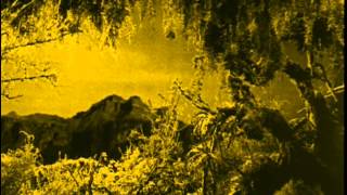 The Lost World 1925 by Harry O Hoyt Full Movie