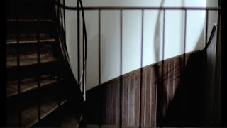 In A Year With 13 Moons 1978 by Rainer Werner Fassbinder Clip Elvira feels desolate on the stair