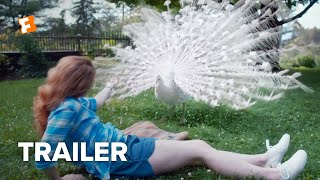 Love is Blind Trailer 1 2019  Movieclips Indie