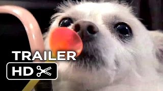 The Three Dogateers Official Trailer 1 2014  Dean Cain Richard Riehle Canine Adventure Movie HD