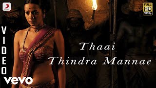 Aayirathil Oruvan  Thaai Thindra Mannae Video  Karthi  GV Prakash