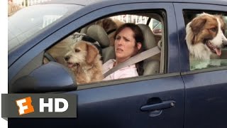 Year of the Dog 79 Movie CLIP  Too Many Dogs 2007 HD