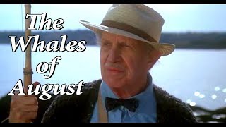 The Fantastic Films Of Vincent Price 85   The Whales of August