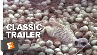 Animals Are Beautiful People 1974 Official Trailer  Paddy OByrne Animal Documentary HD
