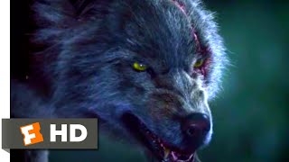 Wolf Warrior 2015  Wolf vs Wolf Scene 410  Movieclips