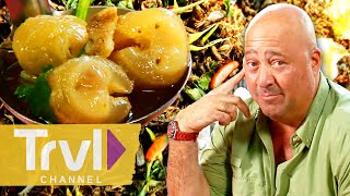 UNFORGETTABLE Meals from Seasons 2  3  Bizarre Foods with Andrew Zimmern  Travel Channel