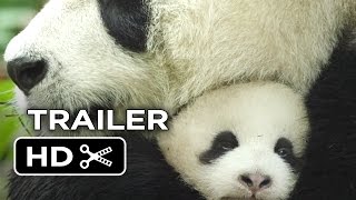 Born in China Official Trailer 1 2017  Disneynature Movie HD