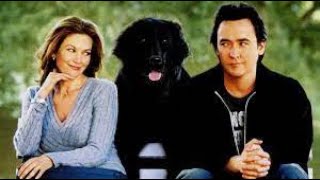 Must Love Dogs Full Movie Fact  Review   Diane Lane  John Cusack