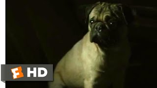 Tunnel 2016  Trapped Doggie Scene 510  Movieclips