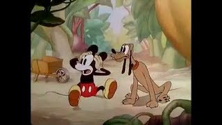 Mickey Mouse  Mickeys Garden  1935