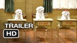 Santa Paws 2 The Santa Pups DVD Release TRAILER 2012  Disney Movie HD