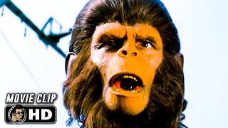 ESCAPE FROM THE PLANET OF THE APES Clip  Shipyard 1971