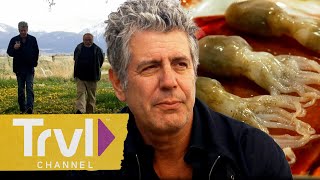 Anthonys FAVORITE Episodes of All Time  Anthony Bourdain No Reservations  Travel Channel