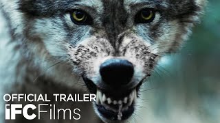 Out Come the Wolves  Official Trailer  HD  IFC Films