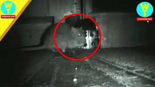 HORRIBLE  Seconds The rats were stung by electric traps HD  WORLD TRAP 2018
