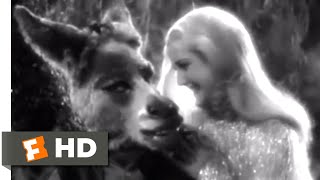 A Midsummer Nights Dream 1935  Titania Falls In Love Scene 712  Movieclips