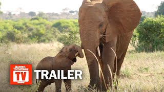 The Elephant Queen Trailer 1 2019  Rotten Tomatoes TV