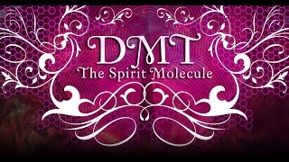 DMT The Spirit Molecule 2010 multi subs