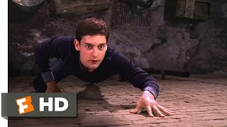 SpiderMan Movie 2002  Peters New Powers Scene 210  Movieclips