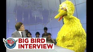 The day Big Bird talked about his life on Sesame Street and his movie Follow that Bird 1985