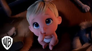 Storks  Pigeon Toadys Guide to Your New Baby Exclusive Mini Movie  Warner Bros Entertainment