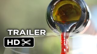 SOMM Into the Bottle Official Trailer 1 2015  Wine Documentary HD
