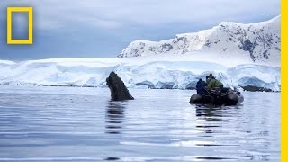 Trailer  Continent 7 Antarctica