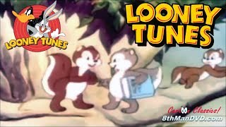 LOONEY TUNES Looney Toons Robin Hood Makes Good 1939 Remastered HD 1080p