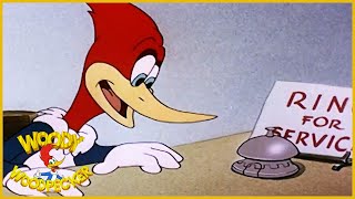 Woody Woodpecker  Woody Dines Out  Old Cartoon  Woody Woodpecker Full Episodes