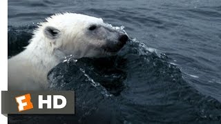Arctic Tale 110 Movie CLIP  Hunting Walrus 2007 HD