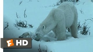 Arctic Tale 510 Movie CLIP  Starving in the Blizzard 2007 HD