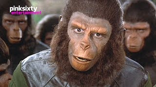Planet of the Apes  Roddy McDowall  Pinksixty Entertainment