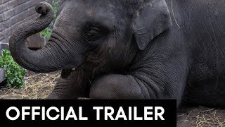 ZOO OFFICIAL MOVIE TRAILER HD