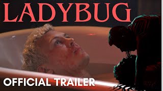 LADYBUG 2024  A NEW REVENGE SLASHER HORROR MOVIE  Official Trailer  FrightFest  Movies