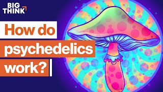 Psychedelics The scientific renaissance of mindaltering drugs  Sam Harris Michael Pollan  more