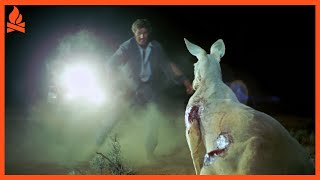 Wake In Fright 1971 REVIEW