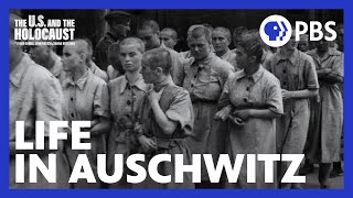 The Unbelievable Reality of Auschwitz  The US and the Holocaust  PBS