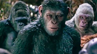I Did Not Start This War Scene  WAR FOR THE PLANET OF THE APES 2017 Movie Clip