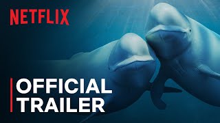 Our Oceans  Barack Obama  Official Trailer  Netflix