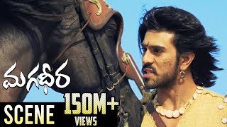 Ram Charan  Dev Gill Ultimate Horse Race Fight  Magadheera Telugu Movie  Kajal Aggarwal