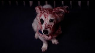 Into the Dark Season 2 Episode 9 Good Boy