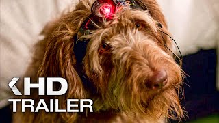 THINK LIKE A DOG Trailer 2020