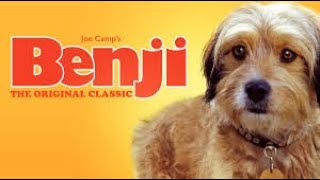 Free Full Movie Benji 1974 fullfreemovie