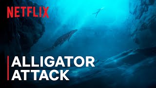 Tomb Raider The Legend of Lara Croft  Alligator Attack  Netflix