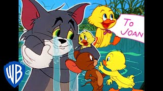 Tom  Jerry  Little Trouble Little Quacker  Classic Cartoon Compilation  WB Kids