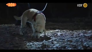 Dog Knows Everything 2024  Korean Drama  Official Teaser 2